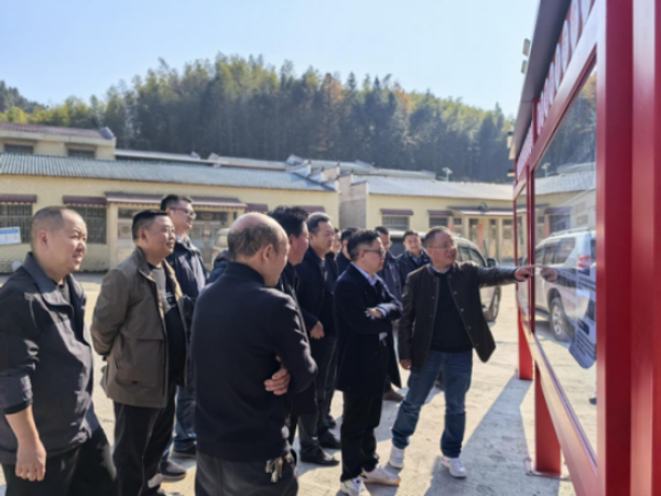 亮灯了，路通了，心安了！地质湘军助大雁山村焕新重生