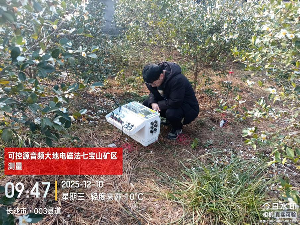 省地质院郭友军、王磊入选2025湖南省“芙蓉计划”青年人才项目